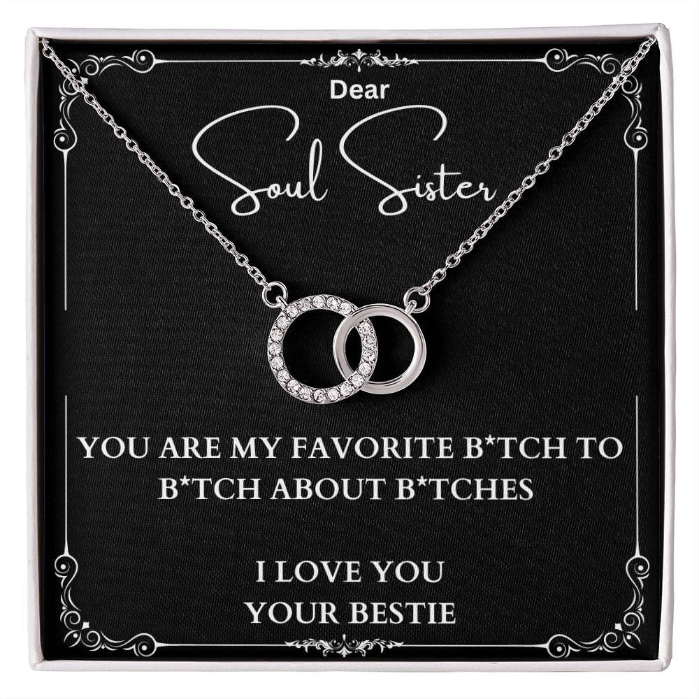 You Are My Favorite Bitch Funny Necklace Gift for Soul Sister, Bestie Jewelry Message Card, Funny Birthday Gift for Bestie, Soul Sister Gift
